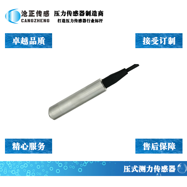 深圳滄正一體式投入式液位傳感器CAZP-105