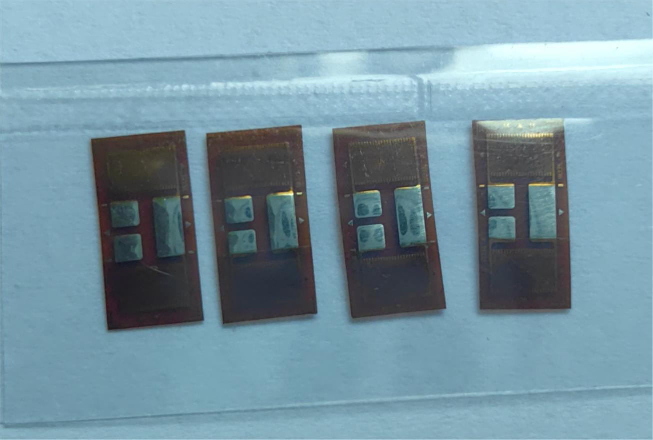 金屬應變片實物圖 金屬應變片實物圖