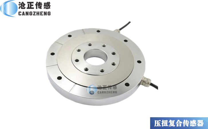 壓扭復(fù)合傳感器CAZF-YN98